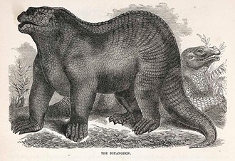 Reconstruction of Iguanodon by Samuel Griswold Goodrich from Illustrated Natural History of the Animal Kingdom (New York: Derby & Jackson, 1859).