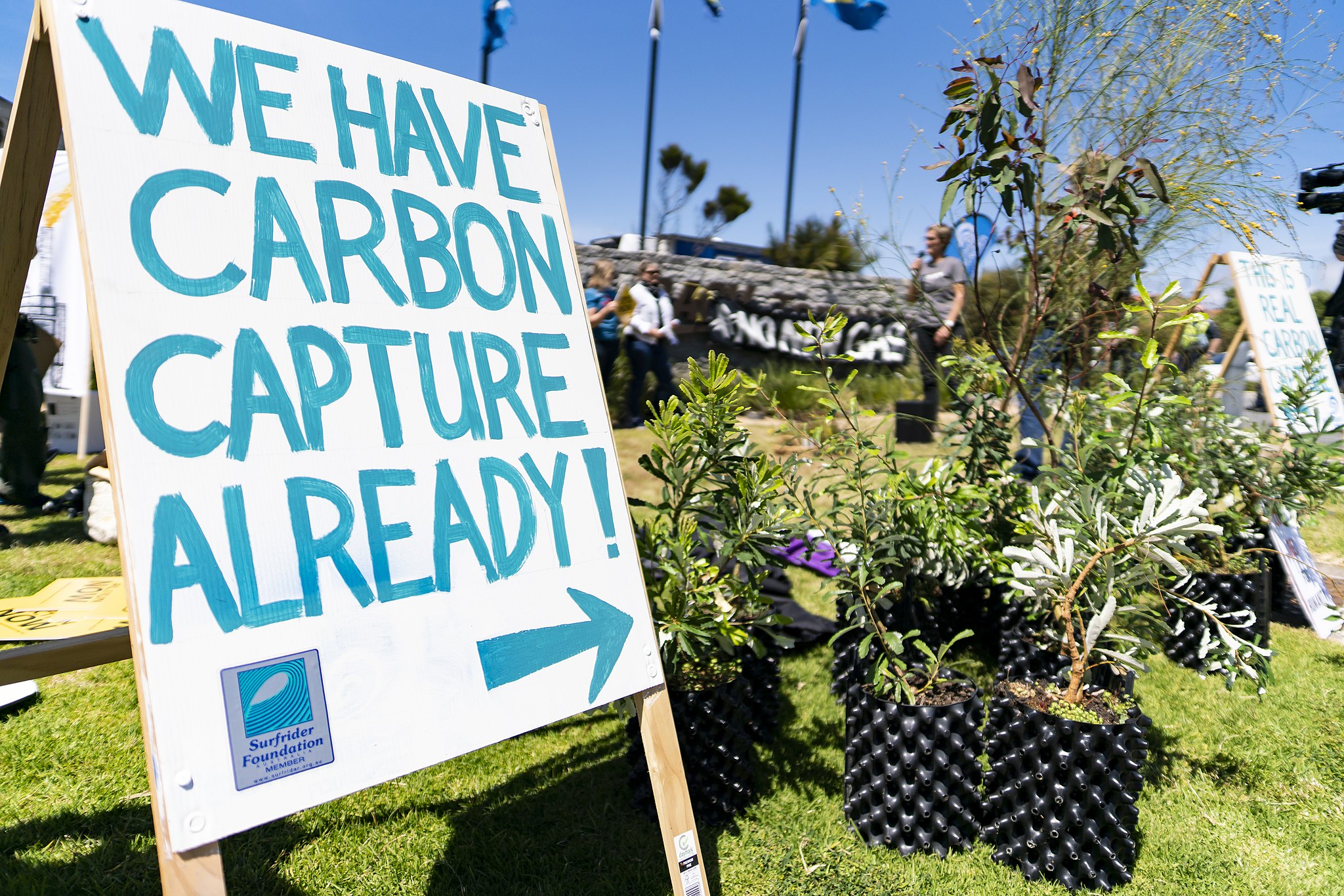 Photograph of climate protest with sign reading "We have carbon capture already" with an arrow pointing at plants