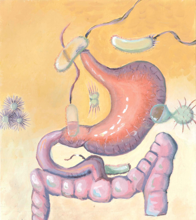 Drawing of the gastrointestinal system with microbes surrounding it to illustrate the gut microbiome