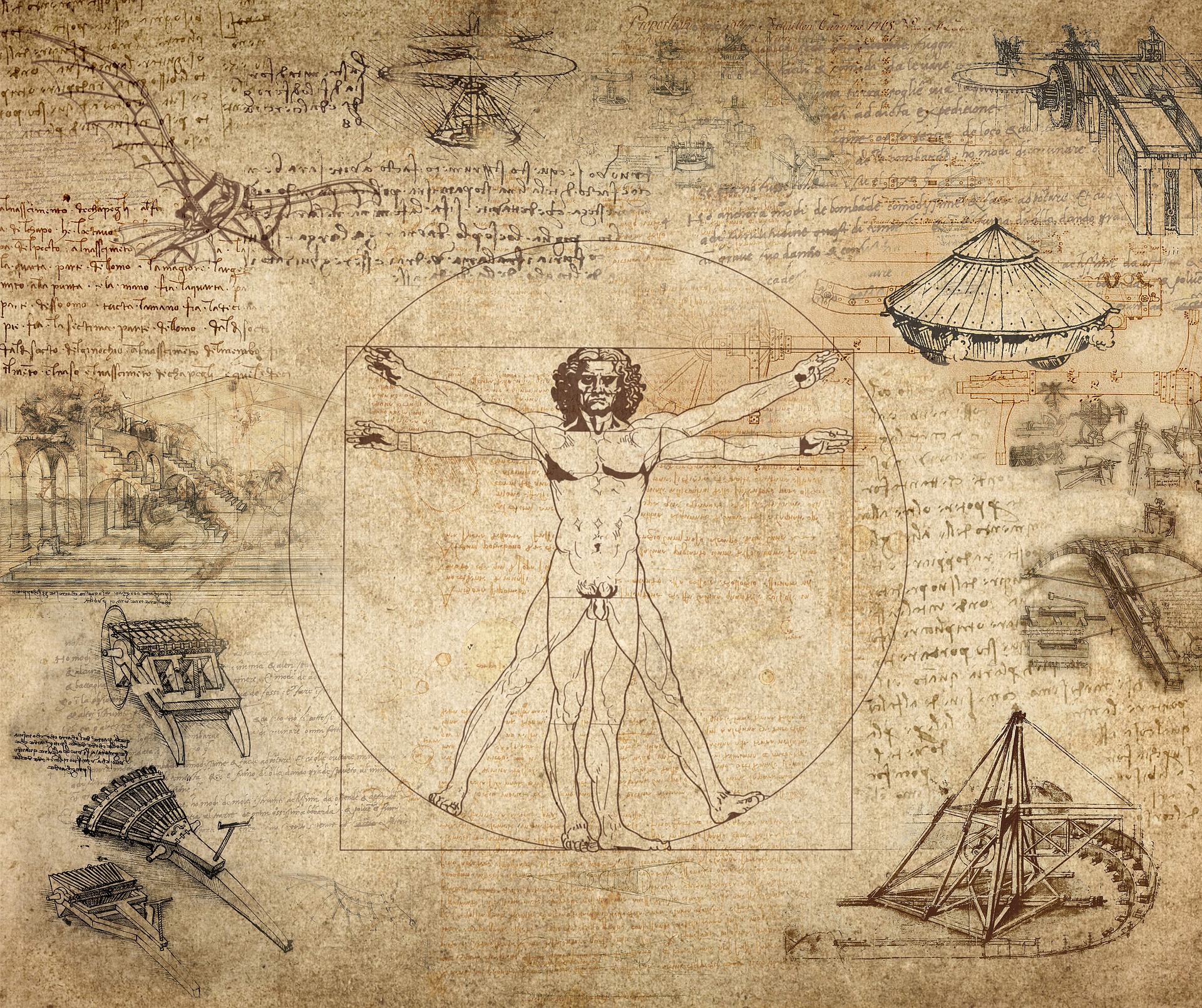 Leonardo da Vinci drawing collage