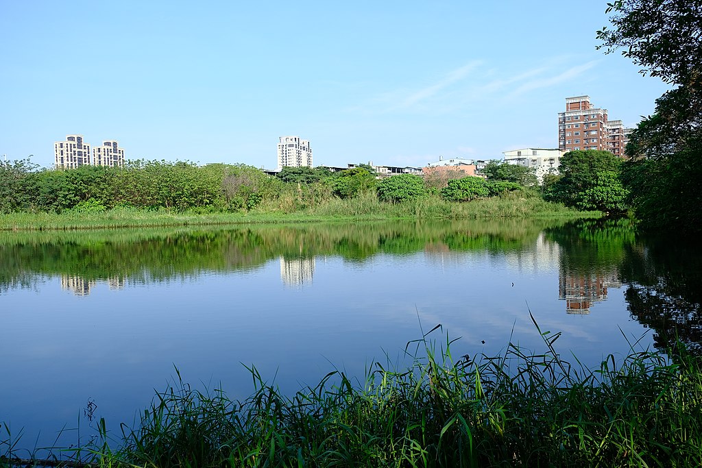 A view of a constructed wetland.
