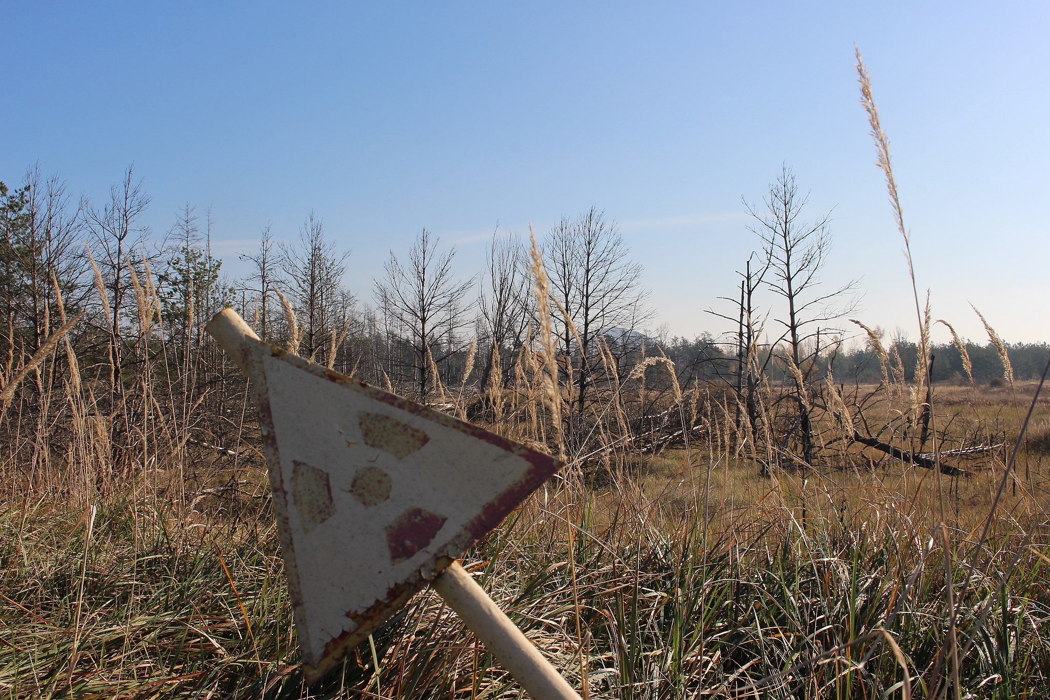 A radiation warning sign in front of a contaminated field near Chernobyl.