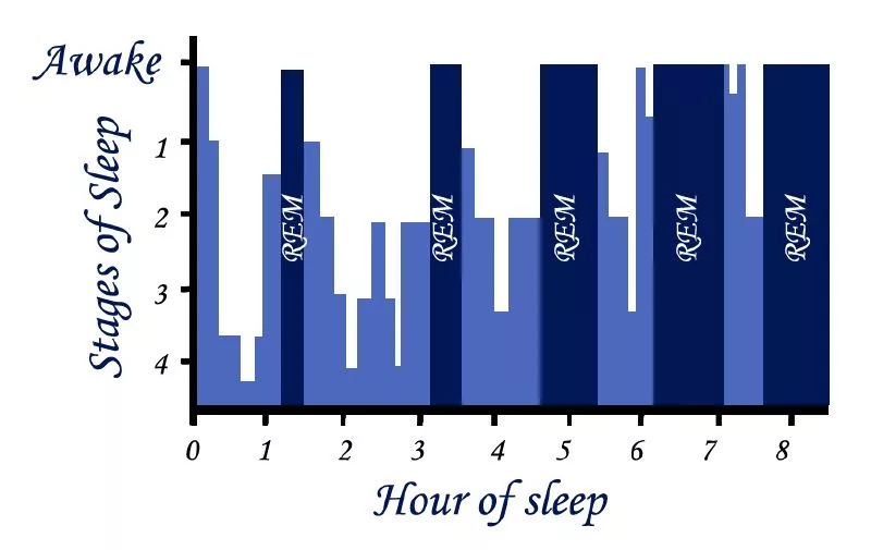 The troubled relationship between REM sleep and depression - The Oxford ...