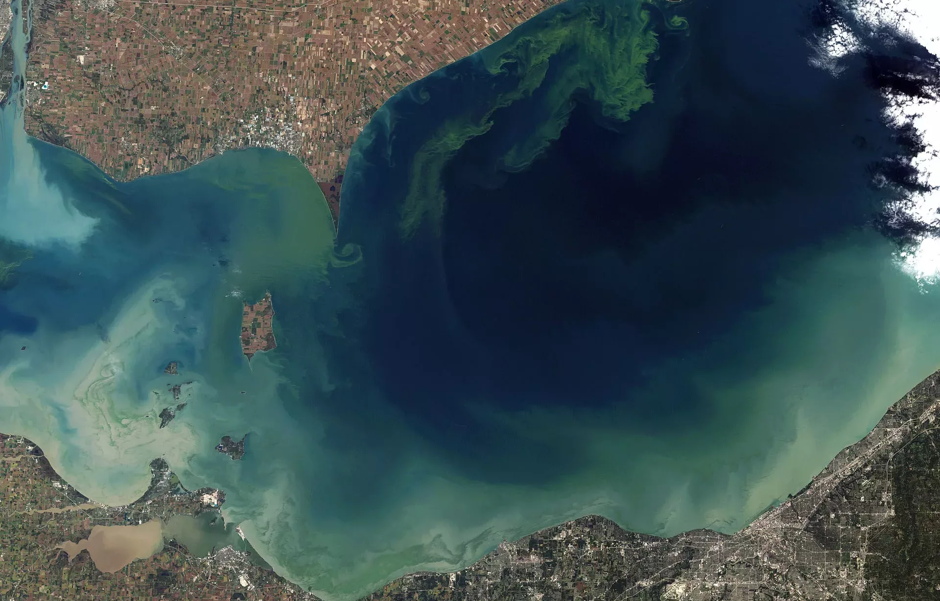 phosphate causing algae bloom