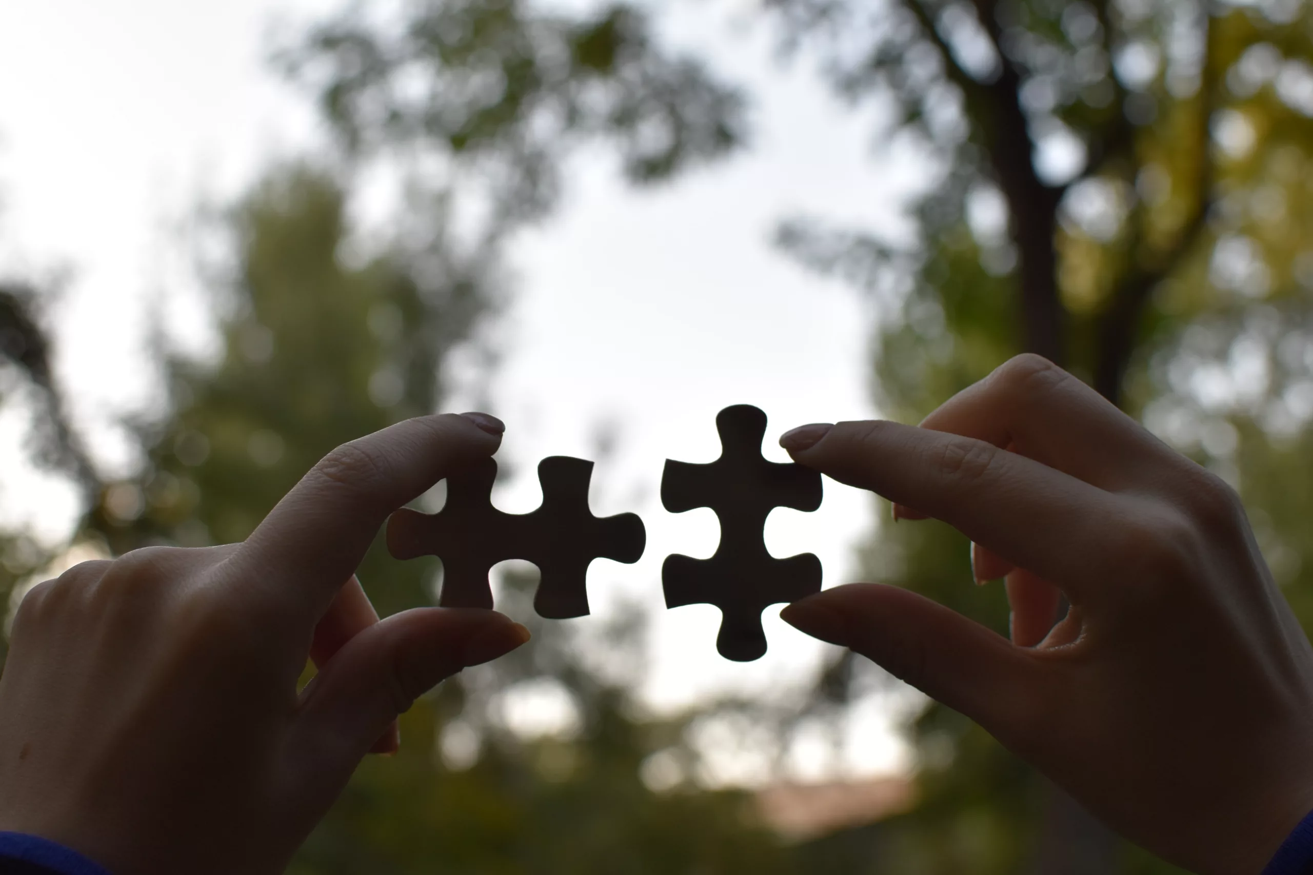 Two hands holding up two puzzle pieces side by side in front of a backdrop of the sky and some trees.