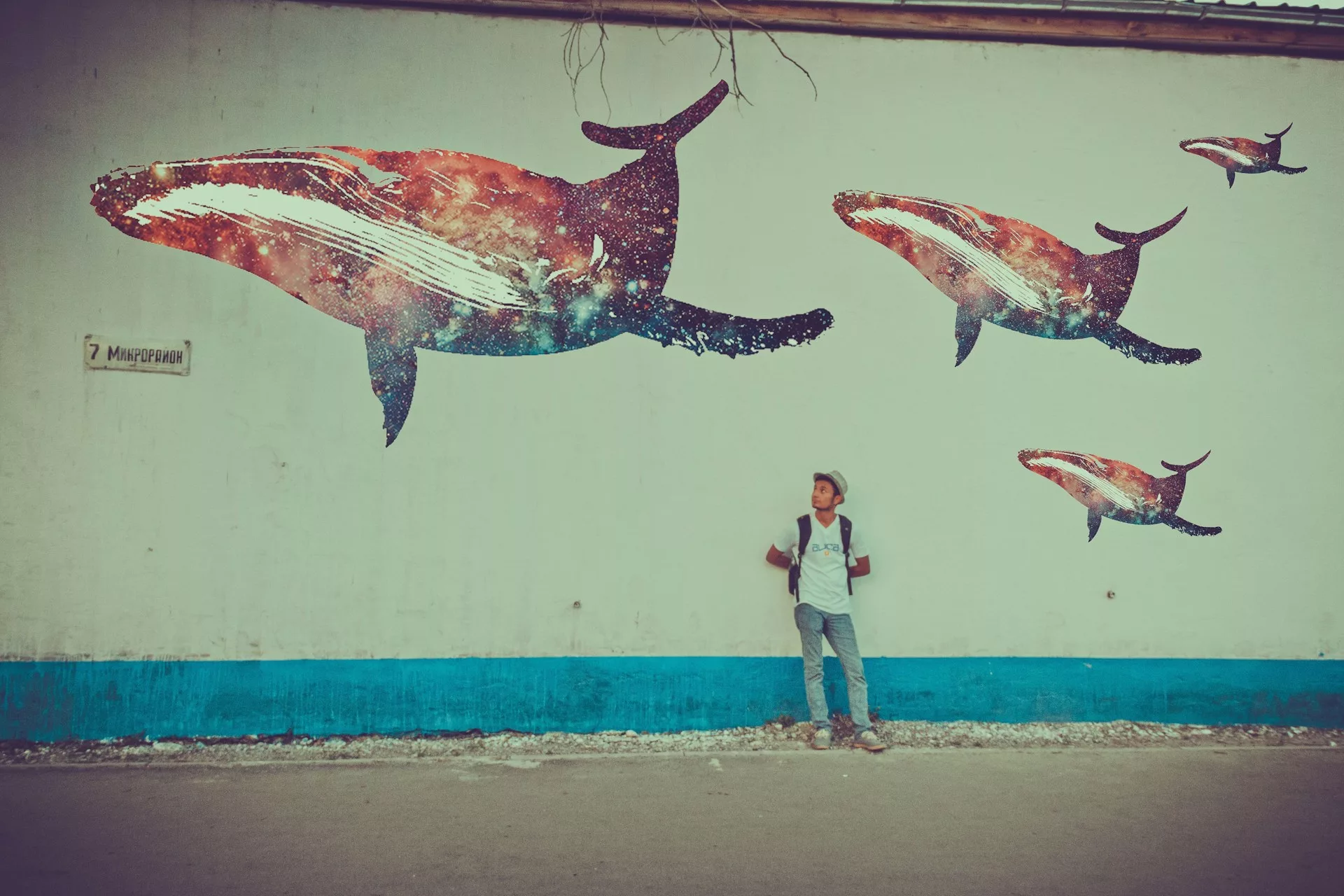 Man standing in front of wall with paintings of 4 whales.