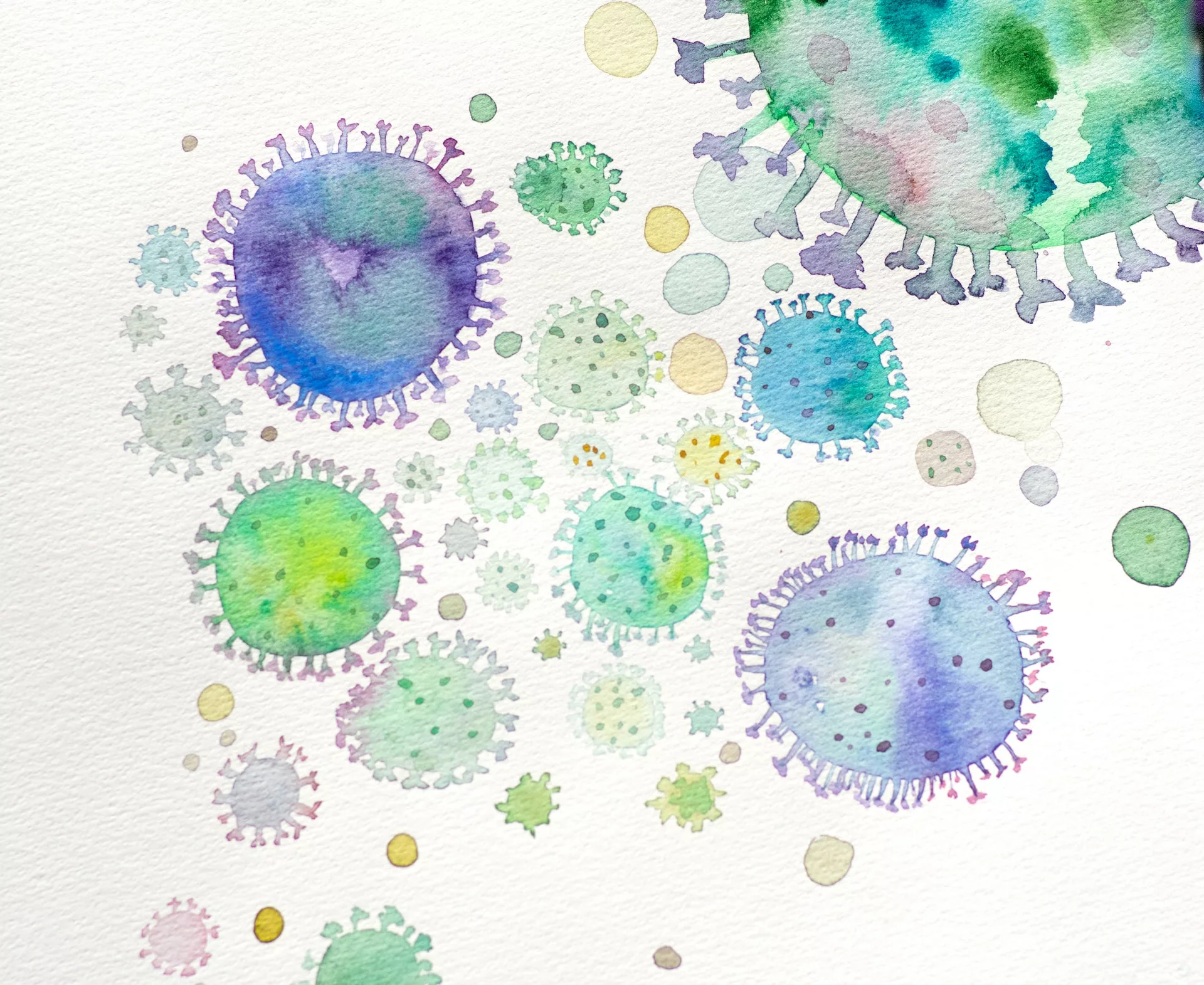 Watercolour bacteria mimic