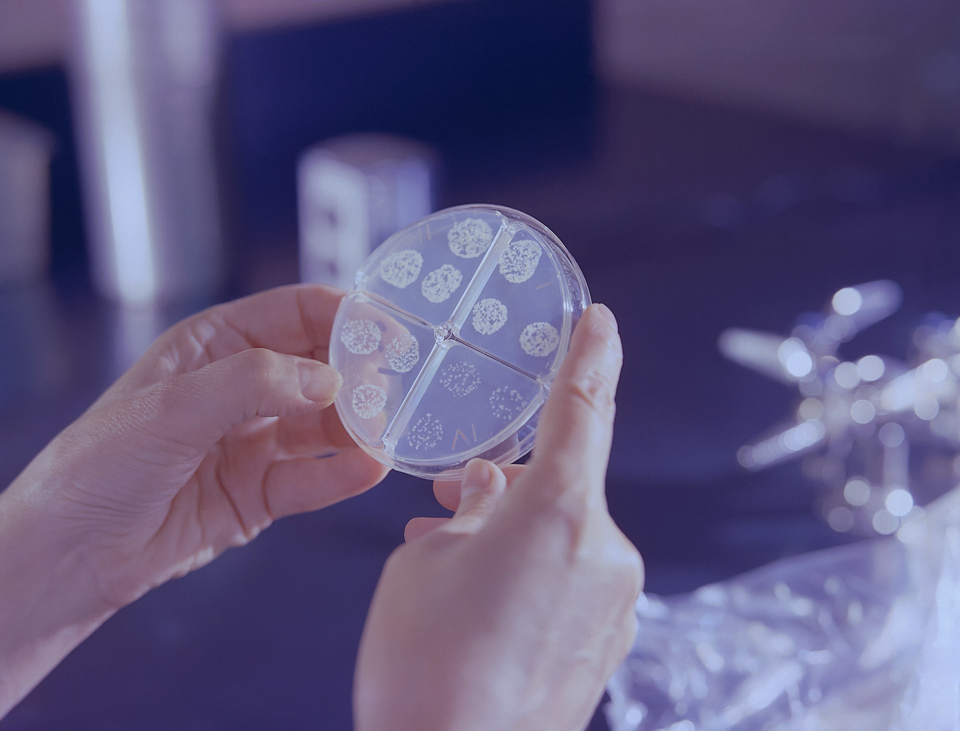 mycobacterium tuberculosis susceptibility test